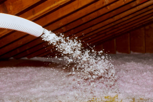 Best Insulation Removal  in Loris, SC
