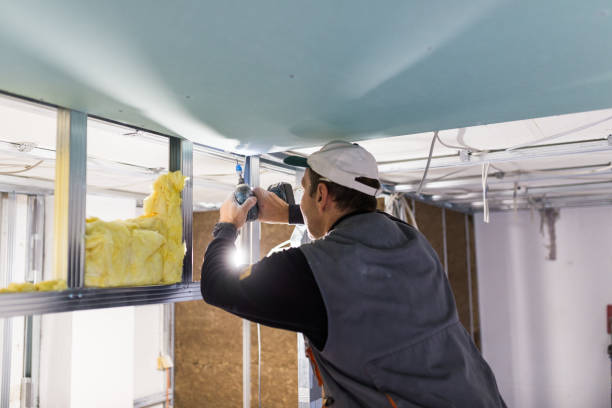 Insulation Contractors for Homes in Loris, SC
