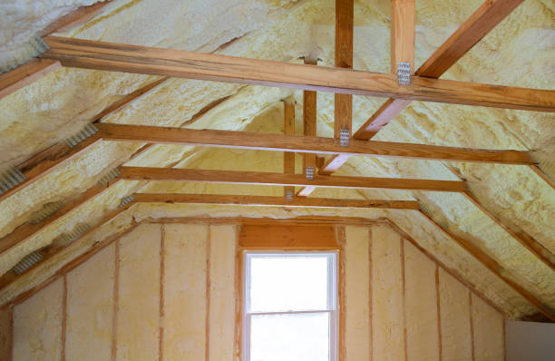 Best Blown-in Insulation  in Loris, SC