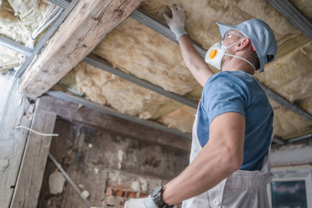 Best Insulation Contractor Near Me  in Loris, SC