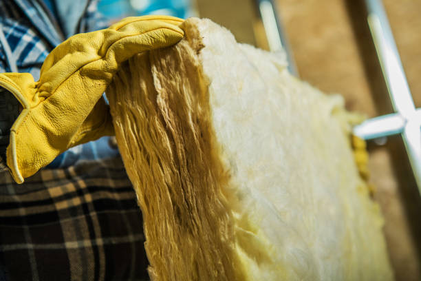 Best Best Insulation Companies  in Loris, SC