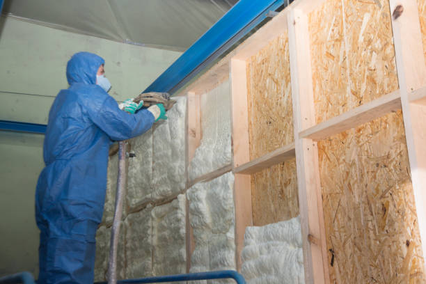 Best Blown-in Insulation  in Loris, SC